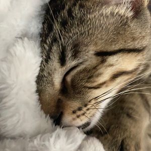 Meet your Posher, Mitchell